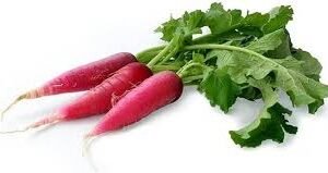 RADDISH RED - Image 1