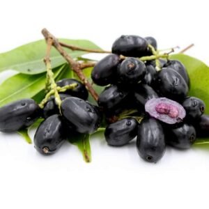 NAVAL PAZHAM BLACK CURRENT - Image 1