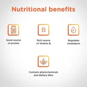 24MA WHEAT DHALIYA 500 GMS - Image 3