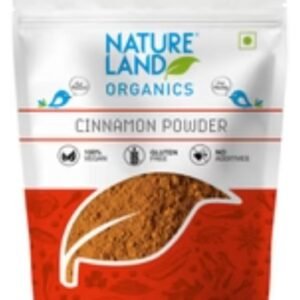NAT LAND CINNAMON POWDER 100 GM - Image 1