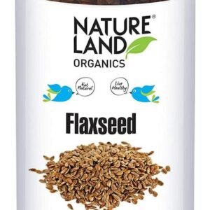 NAT LAND FLAXSEED RAW 150 GM - Image 1