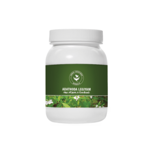 ANNAI ADATHODAI LEGIYAM - Image 1