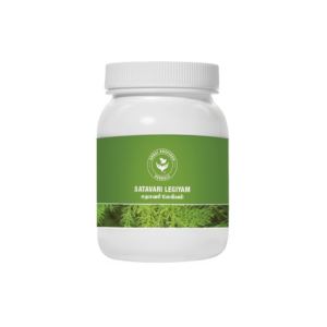 ANNAI SATHAVARI LEGIYAM - Image 1