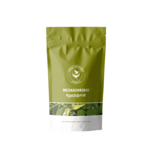 ANNAI SIRUKURINJAAN - Image 1