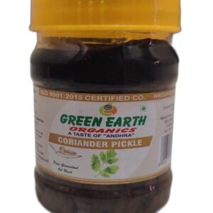 GE CORIANDER PICKLE - Image 1