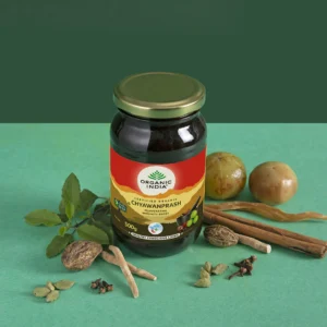 ORG IND CHYAWANPRASH - Image 1