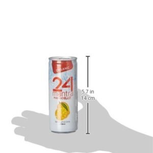 24MA MANGO BLAST 250 ML - Image 5