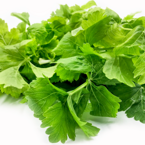 CELERY LEAVES - Image 1