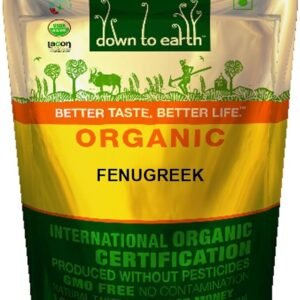 D2 EARTH D 2 EARTH FENUGREEK 100 G - Image 1