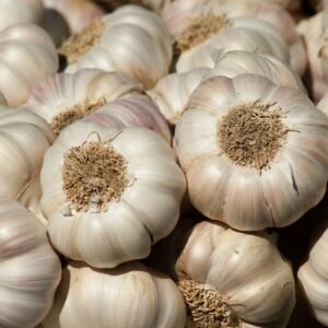 GARLIC - Image 1
