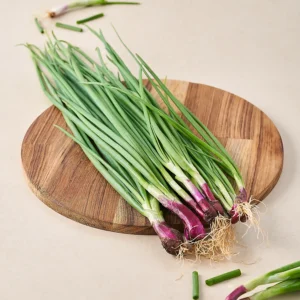 SPRING ONION - Image 1