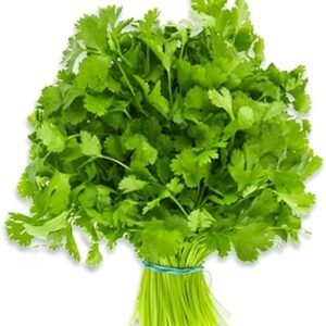 CORIANDER LEAVES - Image 1