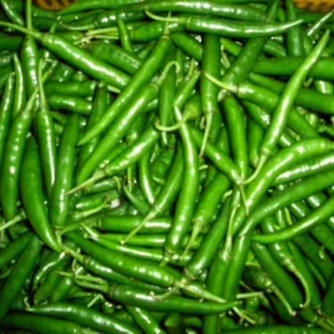 GREEN CHILLI - Image 1