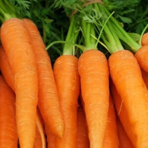 CARROT OOTY - Image 1
