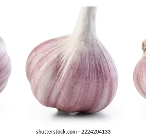 garlic hill - Image 1